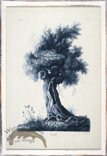 Blue Trees in Distressed White 04